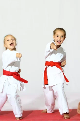 Martial Arts Academy