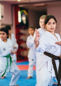 Top Martial Arts Schools In Dubai